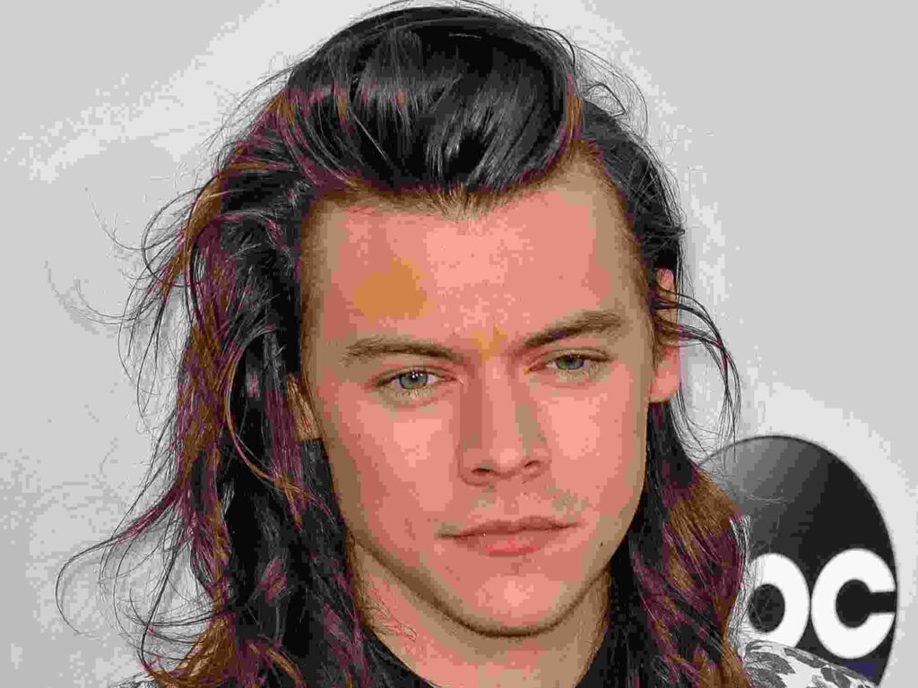 Harry styles