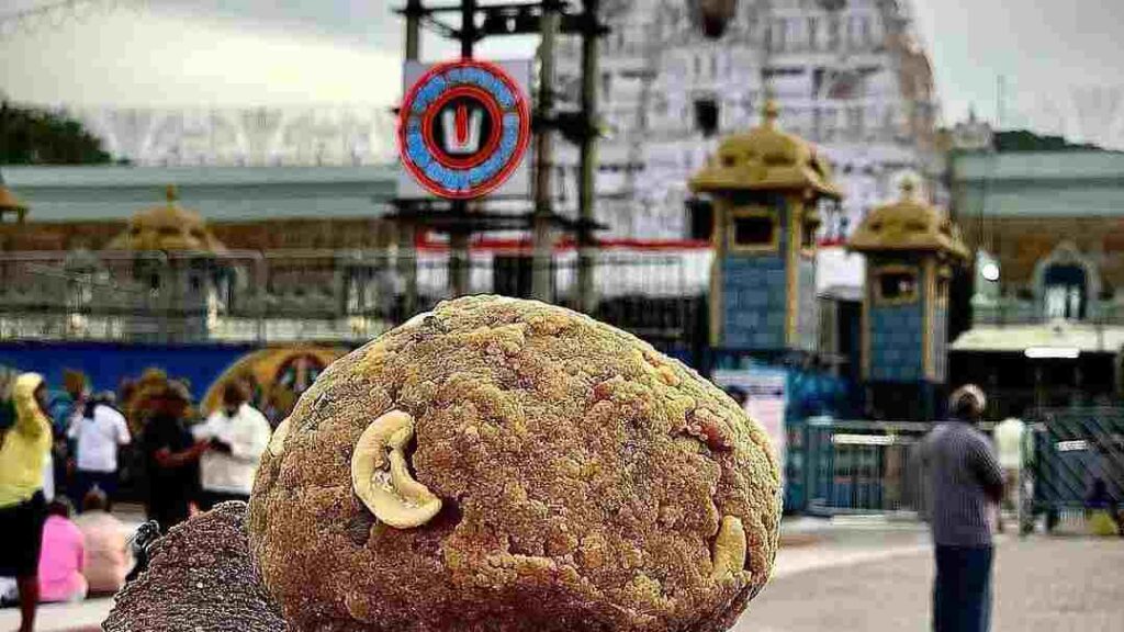 Tirupati Laddu